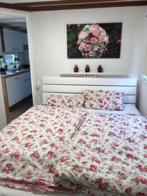 Ferienhaus Meise Wervershoof Zewnętrze zdjęcie